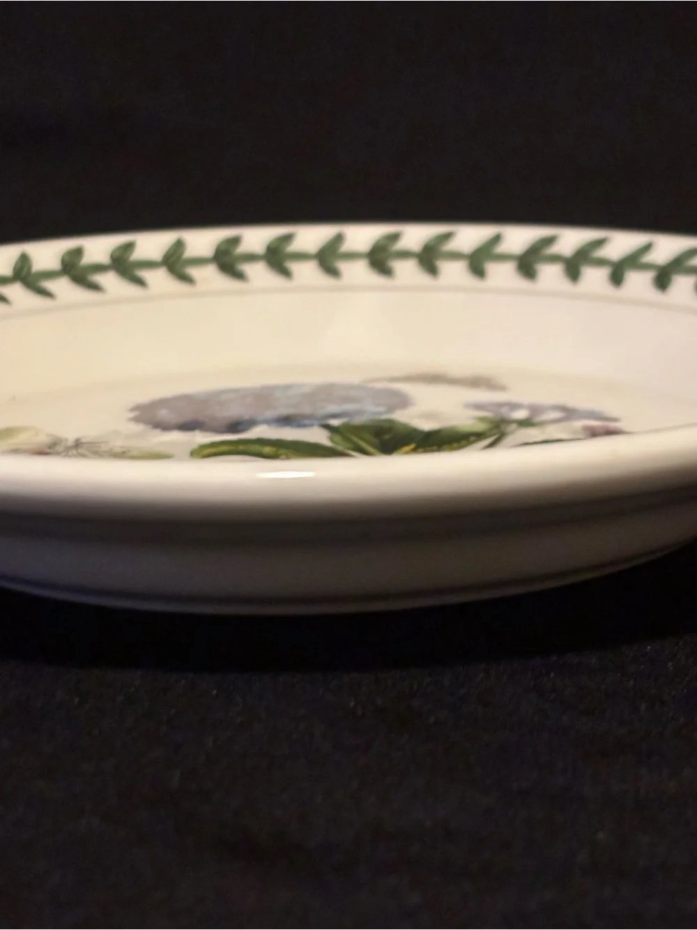 Portmeirion Botanic Garden Primula Villosa 7” Side Plate